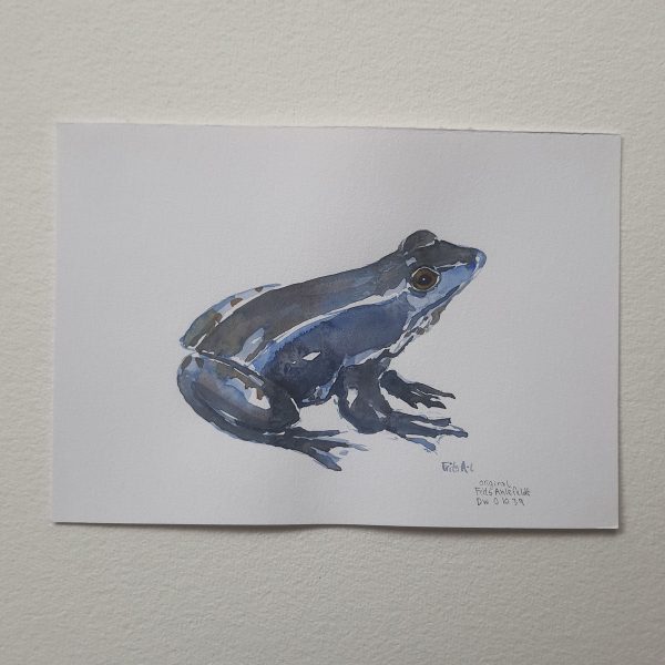 Dw01039 Original A4 Moor frog Zu verkaufen – Bild 3