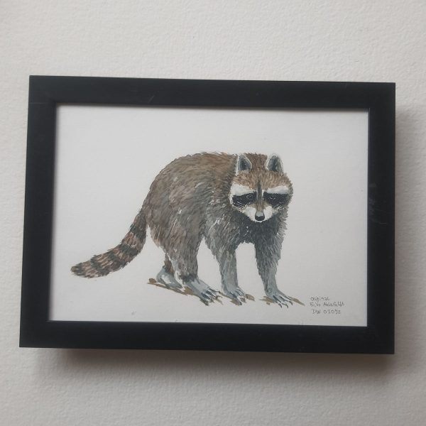 Dw01052 Original A4 Racoon watercolor Jetzt online – Bild 2