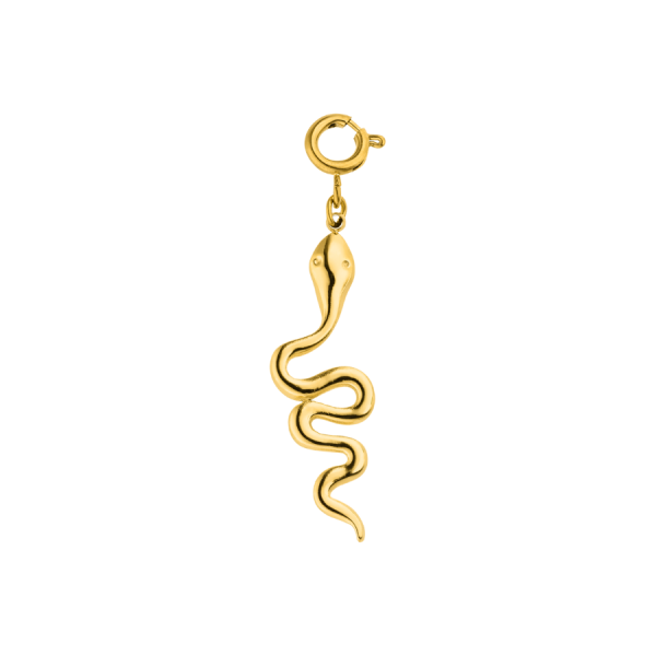 Everlasting Lucky Snake Charm Schn?ppchen