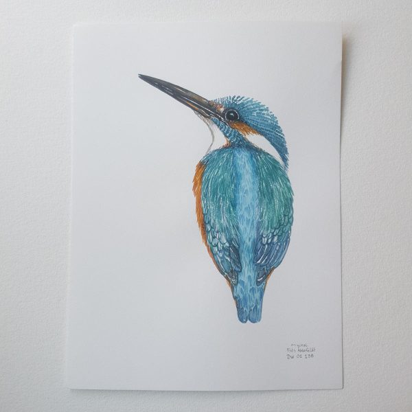 Dw01138 Original Eurasian kingfisher watercolor Im Angebot – Bild 2