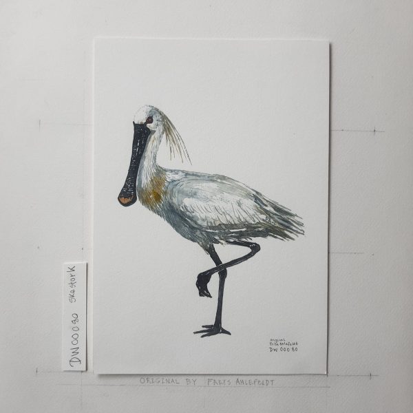 Dw00080 Original A4 Eurasian Spoonbill watercolor Mode – Bild 2