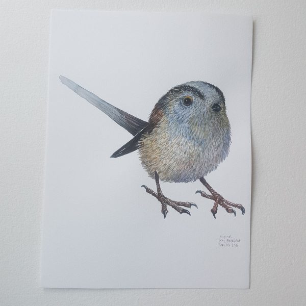 Dw01135 Original Long tailed tit watercolor Online-Verkauf – Bild 2