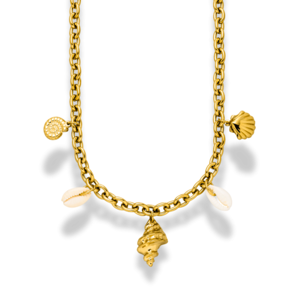 Beach Shell Kette 14K Vergoldet Angebot