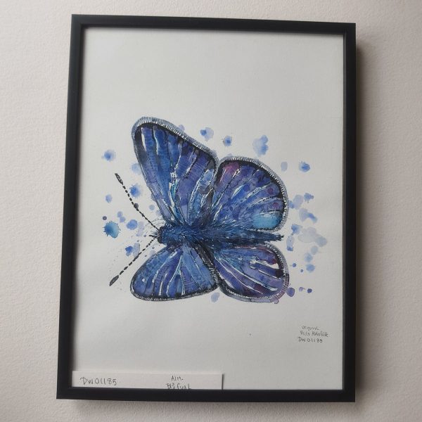 Dw01185 Original European Common blue Zu verkaufen – Bild 2