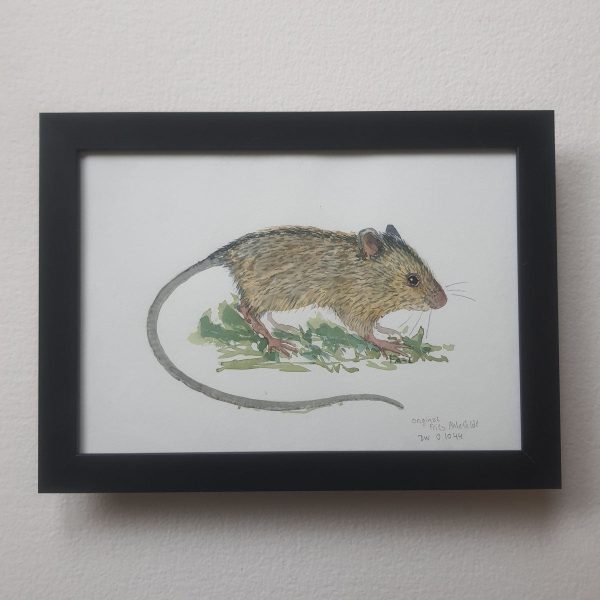 Dw01044 Original A4 Birch mouse watercolor Online-Schn?ppchen – Bild 2