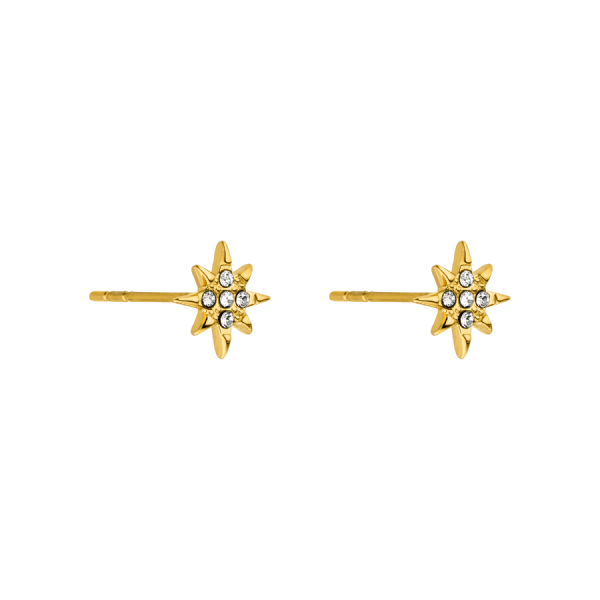 Northern Star Ohrstecker 14K Vergoldet Im Angebot